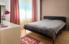 Tineretului -Radulescu Motru 2 camere mobilat /utilat - 1
