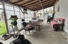 Casa 2 camere | Vucova | 1449 mp teren - 6