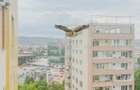 Priveliște panoramică|Apartament renovat situat lângă Iulius Mall - 17