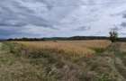 4 ha Drăghici–Mihăești | 3 ha teren + 1 ha pădure | asfalt |toate utilitățile