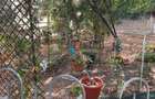 Apartament 2 camere 1 Decembrie 1918-Metrou - 10