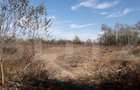 Teren 7240mp, zona Prelungirea Panduri - 2