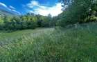 Teren de vanzare | 12 259mp | - 5
