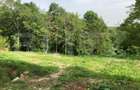 Teren intravilan, parcelat 7600+5700+1400, Manastirea Dealu - 3