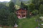 Casa de vacanta in Lepsa - 1