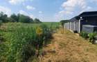 🏡TEREN INTRAVILAN 1000 MP  REDIU - Pozitie excelentă ! 🏡 - 3