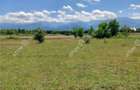 Teren intravilan 5000 mp pe Valea Avrigului, Sibiu - 5