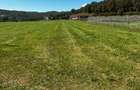 Teren de vanzare, 4451 mp, front 27.50, zona Gilau - 1