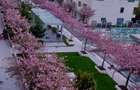 Barbu Văcărescu apartament  cu vedere la lac - 13