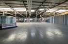 Spațiu industrial de inchiriat 324 mp Calea Lugojului-Centura Timișoara - 8