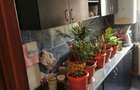 Apartament decomandat cu 3 camere – parter, zona Flora, Mănăștur.