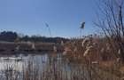 Teren cu deschidere la lac strada Orhideelor- conectare imediata la curent