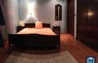 Vila cu 12 camere de vanzare, zona Buna Vestire, 600 mp #10411 - 10