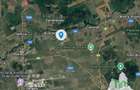 Balotesti - Teren intravilan cu toate utilitatile - 3