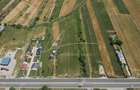 Teren cu potențial de dezvoltare –7427 mp în Argeșelu, Mărăcineni, județul Arges - 3