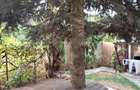 Vanzare casa individuala A. Muresanu, 3 niveluri, gradina, 2 parcari