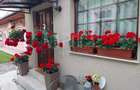 Casa 3 camere de vanzare in Centru Oradea, Oradea - 14