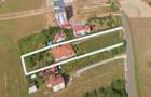 Vila Băile Felix 414mp/3556mp 7dorm 5bai 3 bucătării  vie+cramă livadă filigorie