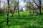 Oportunitate Investitie! Teren intravilan 14000 mp in Cheia