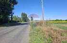 Vanzare teren extravilan 28800 mp,  sat Posta, jud Giurgiu - 16