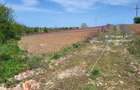 Intravilan vedere la lacul Snagov zona de vile noi - 6