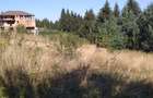 Teren Sacele zona de relaxare pretabil investitie - 2