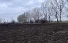 Teren 50000mp Extravilan-Intrare Halchiu-Cod 5235 - 4