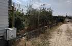 Poiana- str. Cerealelor, teren intravilan curti constructii 3417 mp de vanzare - 7
