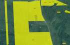 Teren agricol extravilan de vânzare – 67.500 mp – Dealul Daii, Sibiu - 4