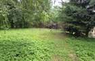 Cabana cu 5 camere de vanzare in Provita - 32