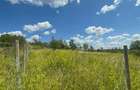 RECO Teren Extravilan Podgoria Oradea - 3