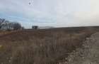 Terenuri intravilane de vanzare Focsani ,4,5 Ha Focsani - 25