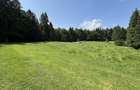 PREDEAL - Teren intravilan 6,000 m² -Poiana Secuilor - 10