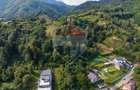 COMISION 0% | TEREN INTRAVILAN 3.731 MP | OPORTUNITATE RARĂ | BRAȘOV