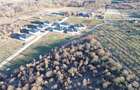 Teren intravilan cu dublu front stradal, de vanzare,Paleu - 1
