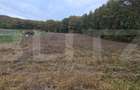 Teren intravilan parcelat - 2882 mp - Sat Bejan - 1
