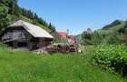 Teren si casa de vanzare in Moieciu de Sus, Brașov – teren 4.890 mp - 3