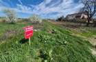 2 loturi de teren INTRAVILAN Bolintin-Deal 7800 mp și 2500 mp Preț negociabil - 1