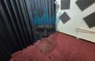 Spatiu Comercial Viilor - 13