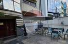 Spațiu de Birouri Premium în Herăstrău - 3