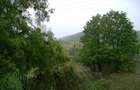Teren de 23.024 mp – 2,30 ha – Valea Paușeasca, comuna Brazii, Șoimuș Buceava - 1
