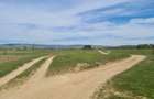 TEREN AGRICOL EXTRAVILAN - RECI - COVASNA - 7