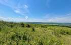 Teren 3600 mp extravilan Dobrovăț, Iași - 1.6 euro/mp, Negociabil, Priveliște Panoramică - 3