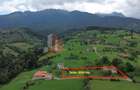 Teren intravilan 3.000 mp cu casă tradițională – Bran, sat Poarta - 11