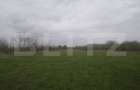 Teren intravilan, 3515 mp, zona Crevedia - 12