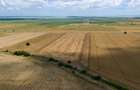 Vând teren agricol la șosea de 30.000mp în Iazurile comuna Valea Nucarilor 