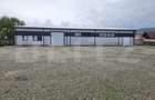Vanzare Hale industriale - 1