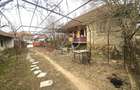 Proprietate în inima naturii gorjene – Satul Rasvovița, Comuna Lelesti! - 2