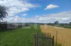 Teren intravilan la sosea, 6400 mp, Vicov de Sus - 1