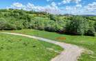 Teren 500mp Tohanita (intre castelul Bran si Zarnesti), padure + parau - 2